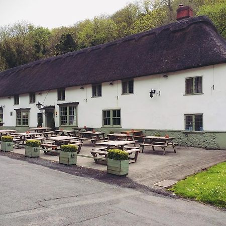 Milton Abbas Hambro Arms酒店 外观 照片