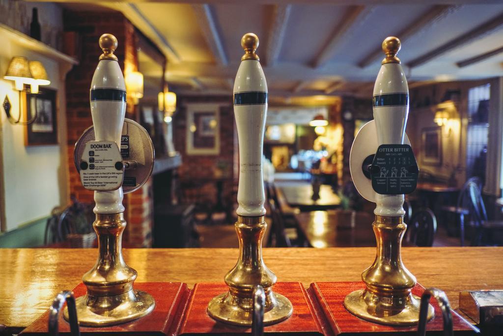 Milton Abbas Hambro Arms酒店 外观 照片