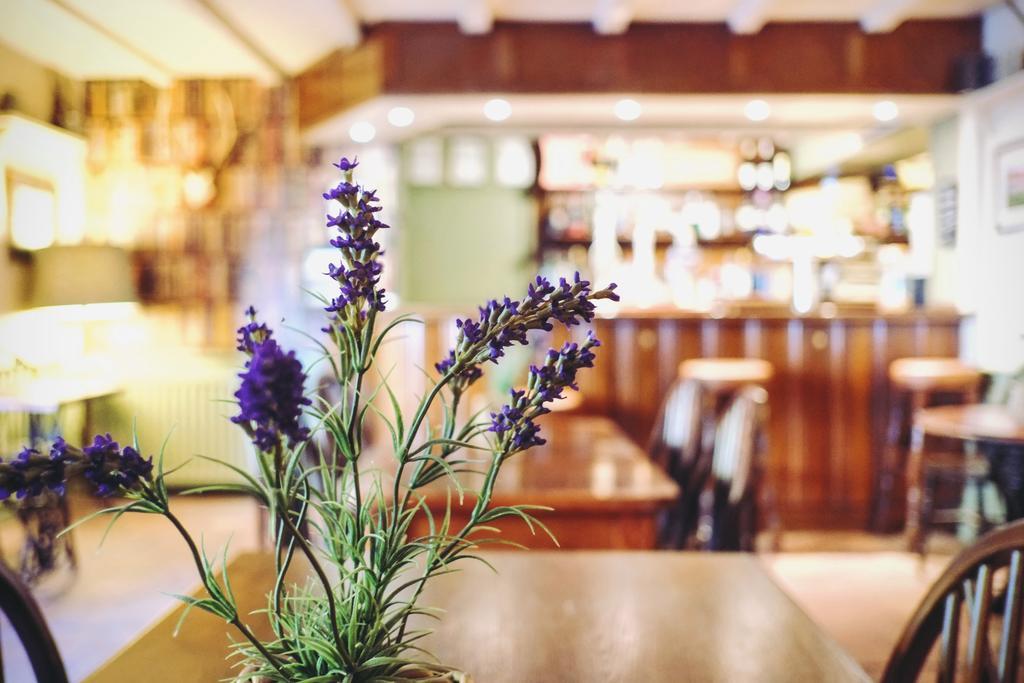 Milton Abbas Hambro Arms酒店 外观 照片