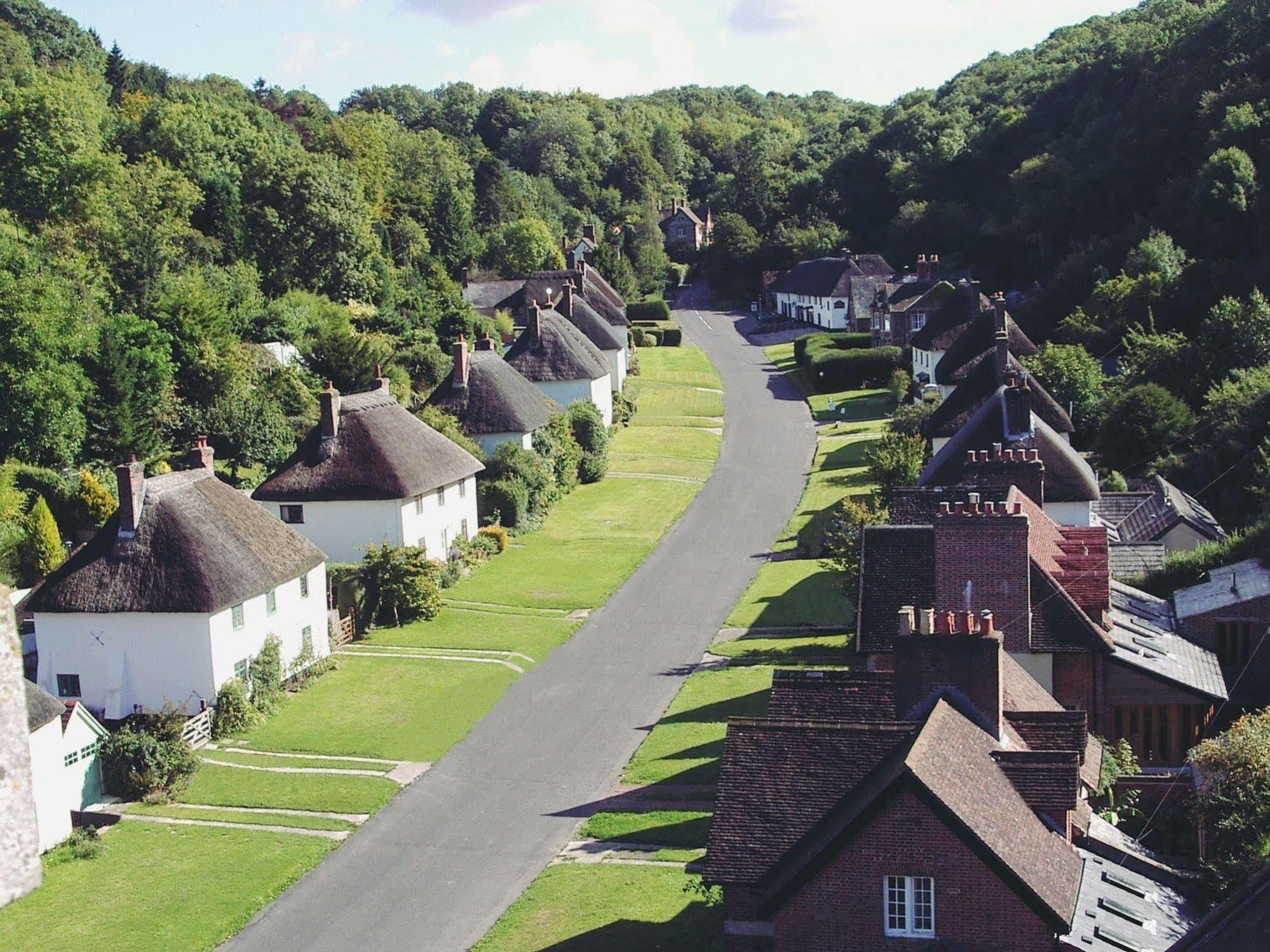 Milton Abbas Hambro Arms酒店 外观 照片